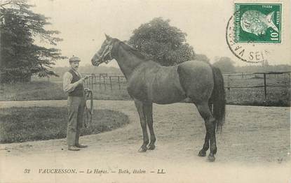 / CPA FRANCE 92 "Vaucresson, le Haras" / CHEVAL / ETALON