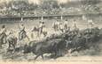 CPA  FRANCE 84  "Avignon, Arènes de Bagatelle, Guardians de Camargue conduisant un troupeau de taureaux"