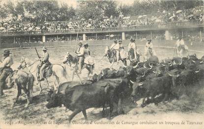 CPA  FRANCE 84  "Avignon, Arènes de Bagatelle, Guardians de Camargue conduisant un troupeau de taureaux"