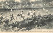 84 Vaucluse CPA  FRANCE 84  "Avignon, Arènes de Bagatelle, Guardians de Camargue conduisant un troupeau de taureaux"