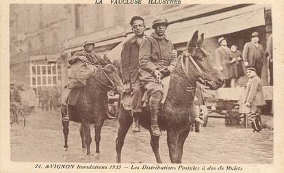 CPA  FRANCE 84  "Avignon, les distributions Postales à dos de Mulets" / LA POSTE / ÂNE 