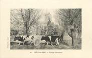 77 Seine Et Marne / CPA FRANCE 77 "Crécy en Brie, paysage champêtre"