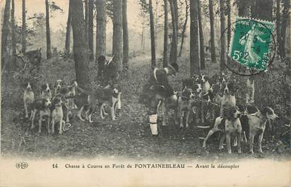/ CPA FRANCE 77 "Chasse à courre en forêt de Fontainebleau, avant le découpler"