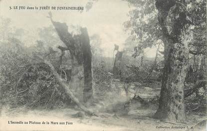 / CPA FRANCE 77 "Le Feu dans la forêt de Fontainebleau"