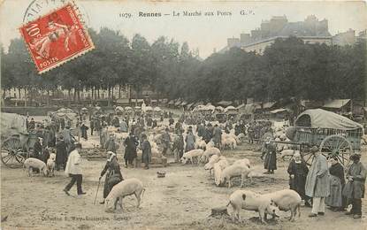 CPA FRANCE 35 "Rennes, le marché aux porcs"