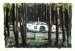    CPSM   AUTOMOBILE  /  FRANCE 72 "24H du MANS "