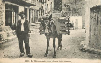 CPA ANE dans la haute montagne