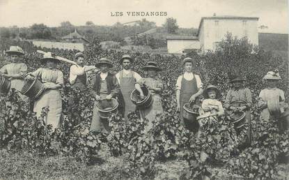 CPA LES VENDANGES /  ALCOOL