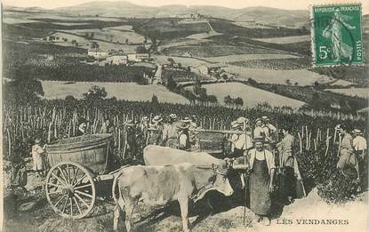  CPA LES  VENDANGES  /  ALCOOL