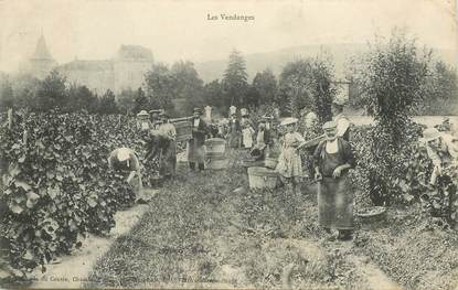  CPA LES  VENDANGES  /  ALCOOL /  FRANCE 69 