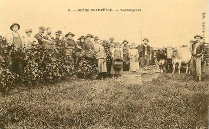  CPA  Scène champêtre, les vendangeurs