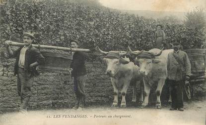  CPA  Les Vendanges, Porteurs au chargement, attelage de boeufs