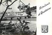 29 Finistere / CPSM FRANCE 29 "Audierne, vue sur le port et la ville"