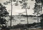 29 Finistere / CPSM FRANCE 29  "Bénodet, dans les pins"