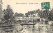 45 Loiret CPA FRANCE 45 "Env. de Montargis, les bords du Loing"