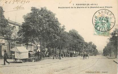 CPA FRANCE 49 "Angers, bld de la Mairie et le marché aux fleurs"