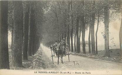 / CPA FRANCE 77 "Le Mesnil Amelot, route de Paris"
