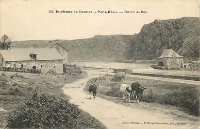CPA  FRANCE 35 "Env. de Rennes, pont Réan, Chemin du Boël"