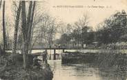 77 Seine Et Marne / CPA FRANCE 77 "Montigny sur Loing, la Vanne rouge"