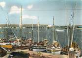 29 Finistere / CPSM FRANCE 29 "Camaret, les langoustiers au port"