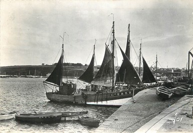 / CPSM FRANCE 29 "Camaret, les langoustiers dans le port"