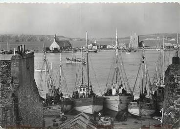 / CPSM FRANCE 29 "Camaret, les bateaux de pêche dans le port"