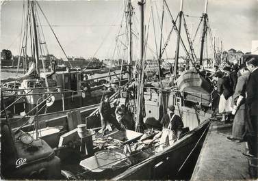 / CPSM FRANCE 29 "Concarneau, retour de la pêche au thon"