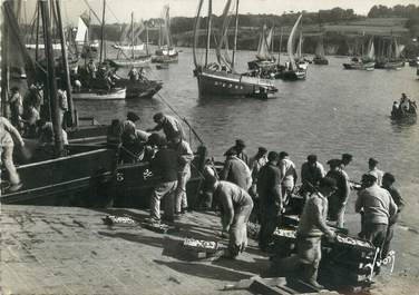 / CPSM FRANCE 29 "Douarnenez, arrivage de la sardine"  / PÊCHE 