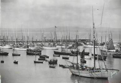 / CPSM FRANCE 29 "Douarnenez, flotille de pêche au repos"