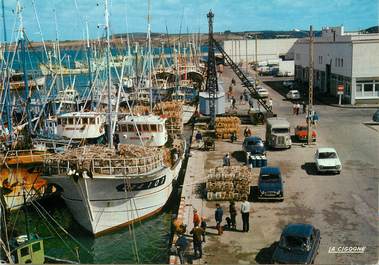 / CPSM FRANCE 29  "Douarnenez, le port "