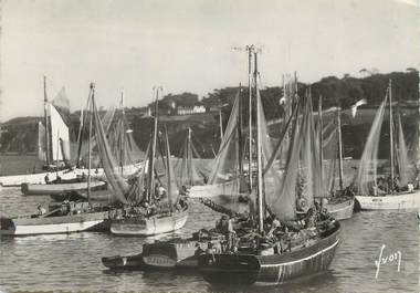 / CPSM FRANCE 29 "Douarnenez, sardiniers au port"