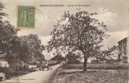 77 Seine Et Marne / CPA FRANCE 77 "Veneux Nadon, route de Bourgogne