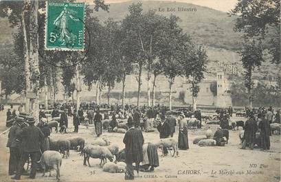 / CPA FRANCE 46 "Cahors, le marché aux moutons "