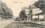 45 Loiret / CPA FRANCE 45 "Briare, la gare"