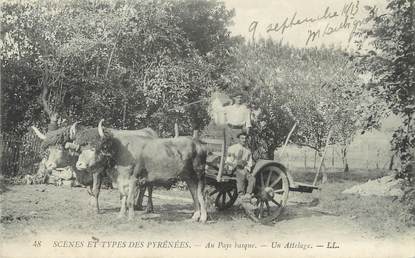 / CPA FRANCE 64 "Scènes et types des Pyrénées, au pays basque, un attelage"