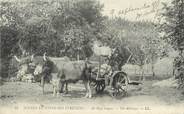 64 PyrÉnÉe Atlantique / CPA FRANCE 64 "Scènes et types des Pyrénées, au pays basque, un attelage"