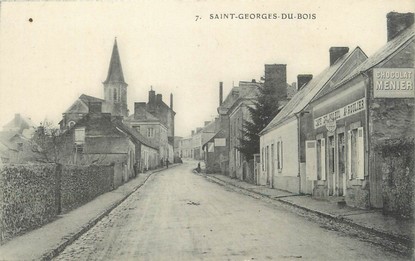 / CPA FRANCE 72 "Saint Georges du Bois "