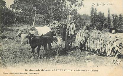 CPA FRANCE 46 "Laberaudie, récolte du Tabac"