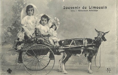 / CPA FRANCE 87 "Souvenir du Limousin" / ENFANTS / CHEVRE