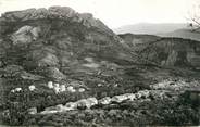 26 DrÔme / CPSM FRANCE 26 "Buis les Baronnies, les platanes"