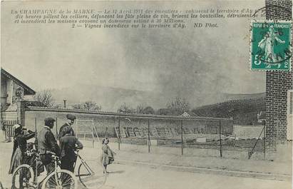 CPA FRANCE 51 "Ay en Champagne, 1911, les vignes incendiées"