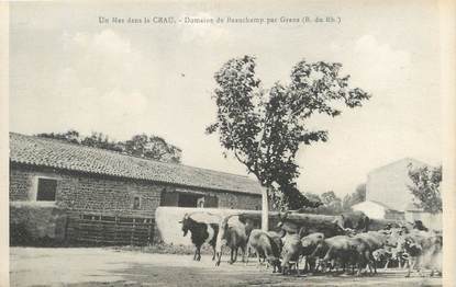 / CPA FRANCE 13 "Domaine de Beauchamps par Grans"