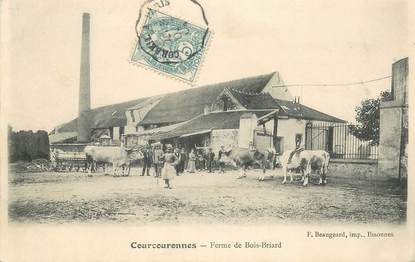 CPA FRANCE 91 "Courcouronnes, Ferme de Bois Briard"