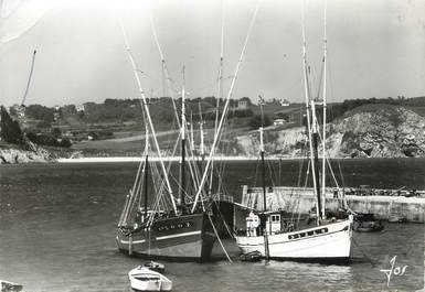 / CPSM FRANCE 29 "Morgat, les Thoniers dans le port" / BATEAUX