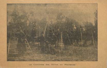 / CPA FRANCE 13 "Salon de Provence, Rosenay, la cueillette des Olives en Provence"