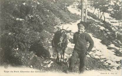 CPA FRANCE 07  "Type du petit chevrier des Cévennes"