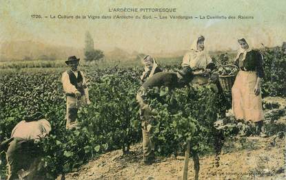 CPA FRANCE 07  "L'Ardèche pittoresque, la culture de la Vigne, les vendanges, la cueillette des Raisins"