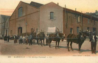 / CPA FRANCE 13 "Marseille, un attelage provençal"