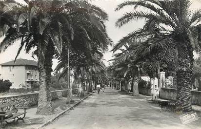 / CPSM FRANCE 83 "Sanary, avenue de Port Issol"