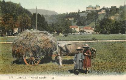 CPA FRANCE 38 "Uriage, vue des Pelouses, Attelage"